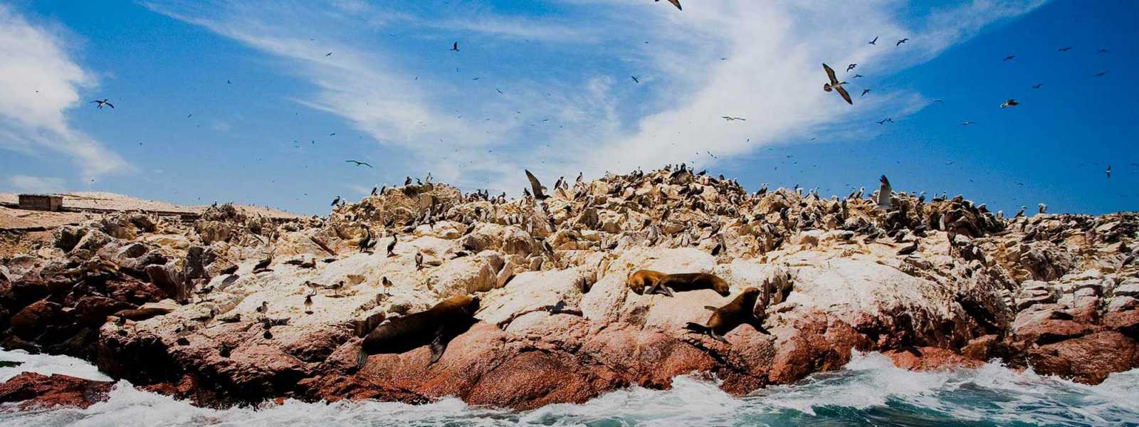 Tour 3 Dias en Ica - Paracas - Nazca